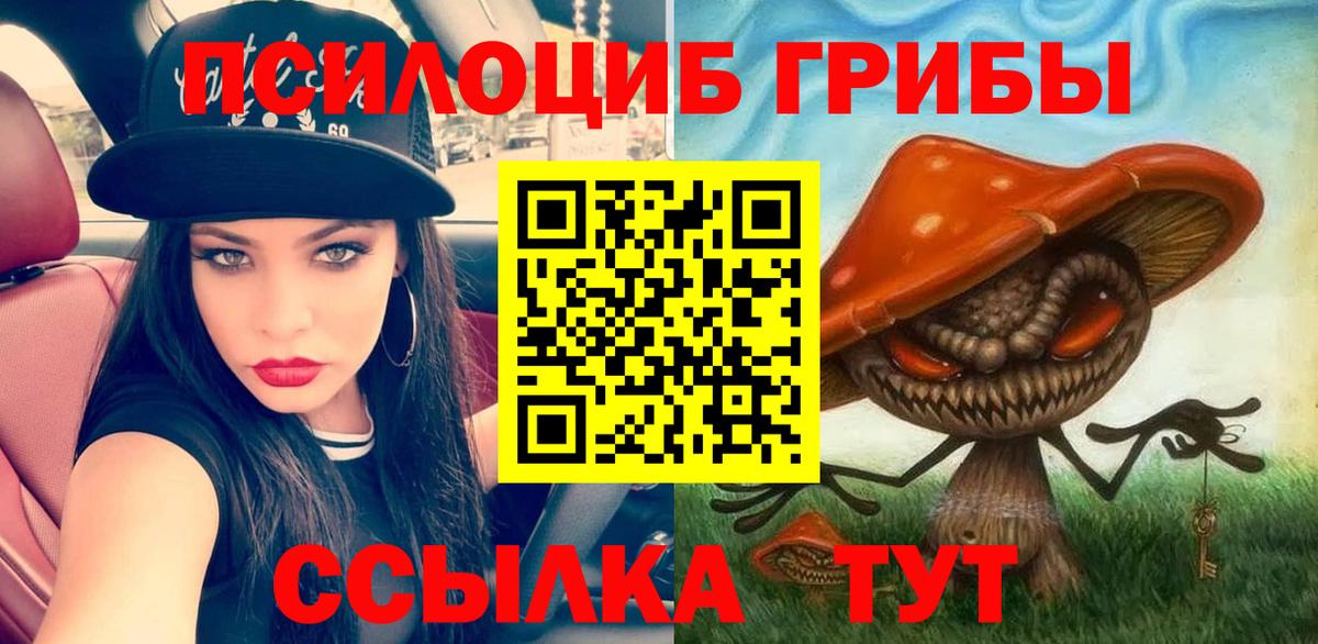 Псилоцибиновые грибы MAGIC MUSHROOMS Псков