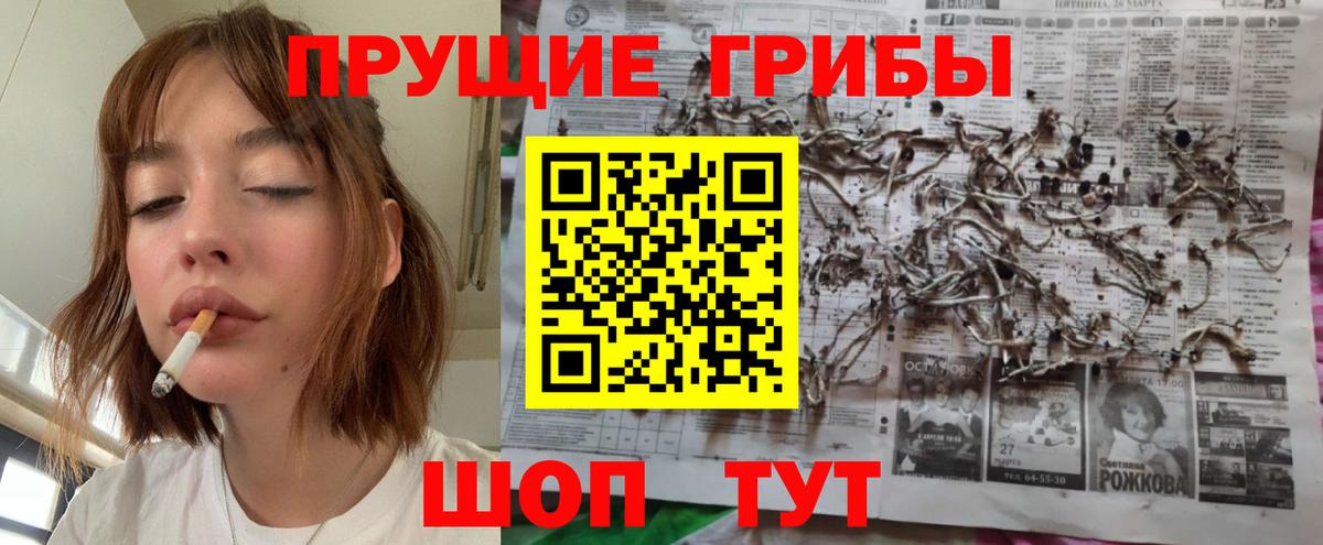 Псков  Псилоцибиновые грибы прущие грибы  Вход с VPN  Псилоцибиновые грибы GOLDEN TEACHER 